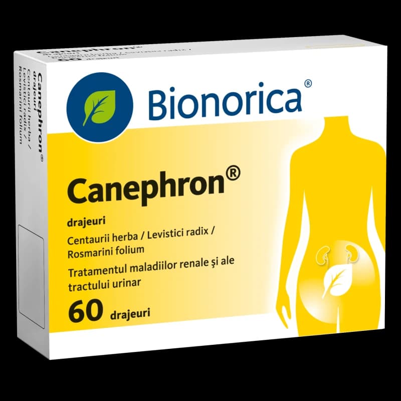 Canephron draj.  N20x3