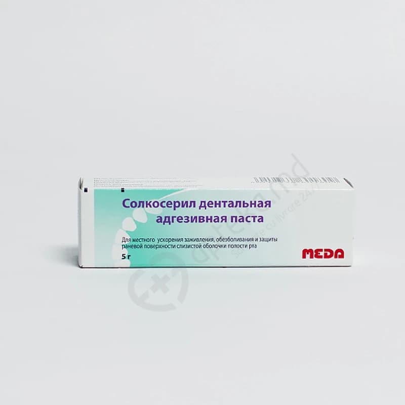 Солкосерил паста зубная адгезивная 2,1 мг + 10 мг/г 5 г N1