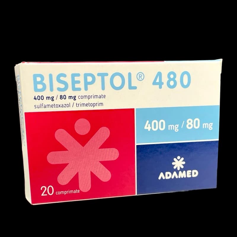 Biseptol 480 comp. 400 mg + 80 mg N20